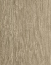 RIVER OAK XL TARN