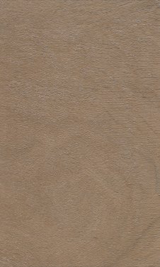 OAK 7840
