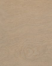 OAK 7810