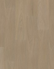 OAK 7820