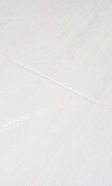 Oak Big white