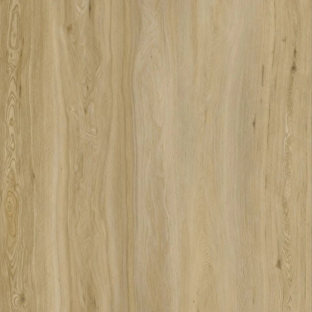 WL055