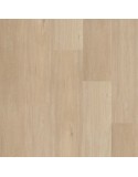 C12042 PLANK