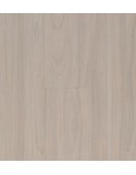 Elm Light