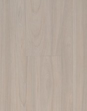 Elm Light
