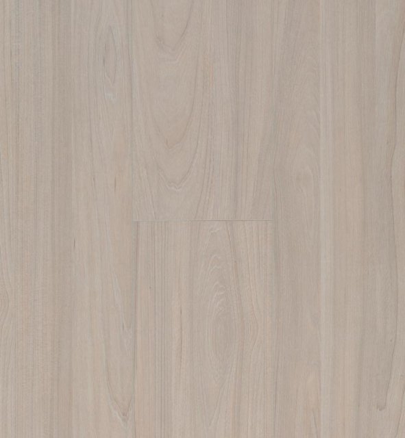 Elm Light