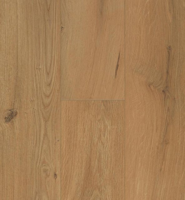 Gyant Warm Natural