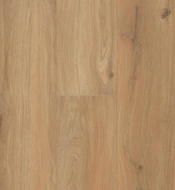 Gyant Xl Warm Natural 