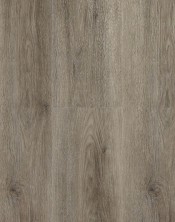 Elite Taupe