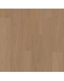 OAK 7880