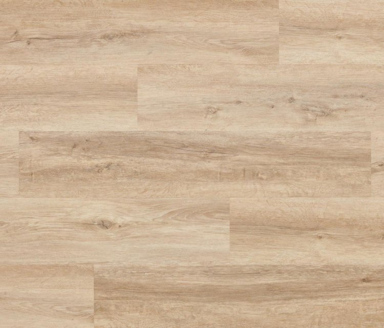 WOODRIC "WINDSOR OAK"
