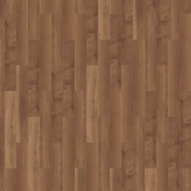 Dark Sycamore