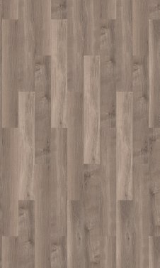 Smoky Sycamore