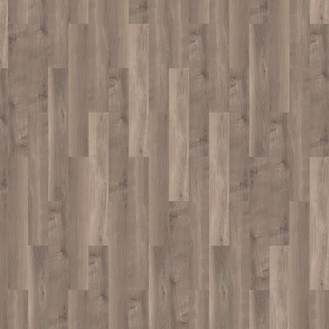 Smoky Sycamore