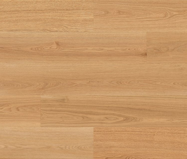 Oak Antic