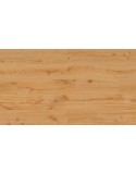 OAK GINGER