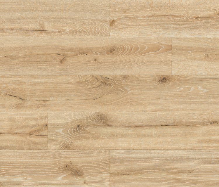 Oak Desrt