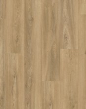 Oak 3510