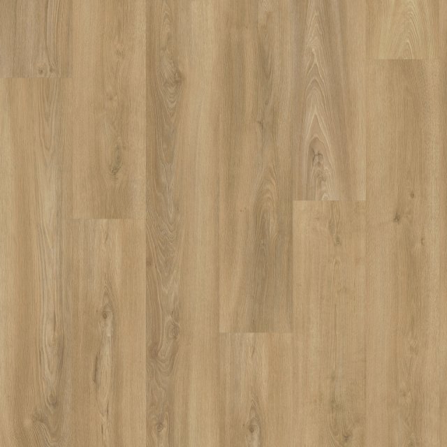 Oak 3510