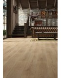 LIBERTE PLUS 606 SACRAMENTO OAK
