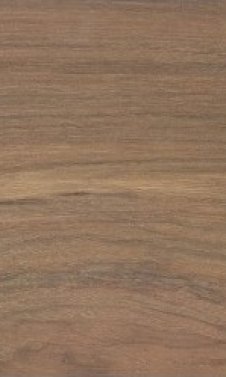 Liberte 610 CARYA HICKORY