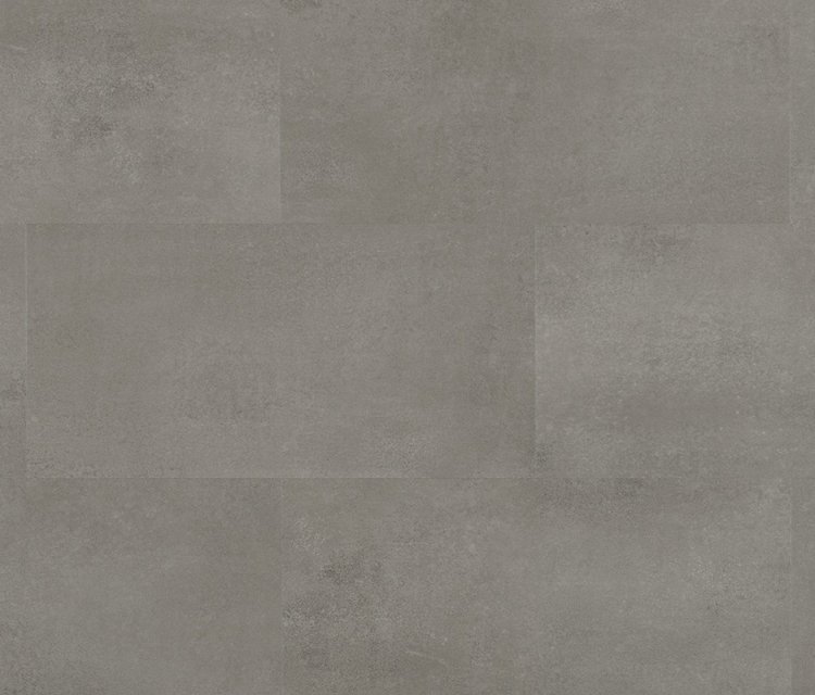 Caldera Concrete Shark