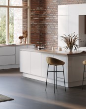 Caldera Concrete Shark