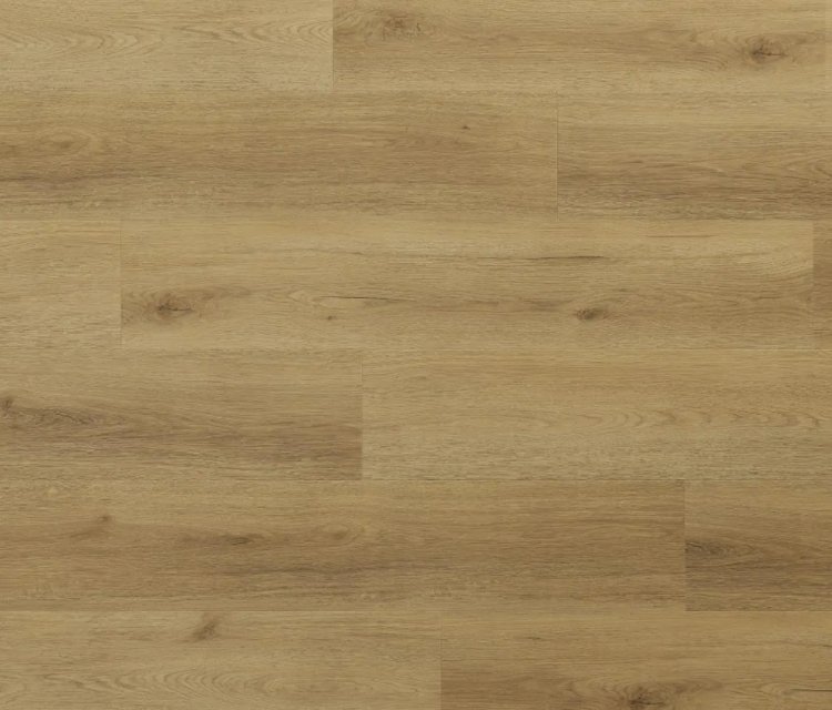 WOODRIC GLENMORE OAK