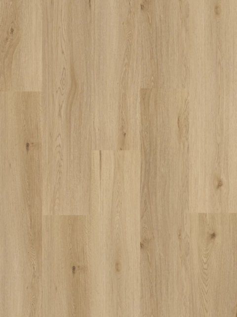 AMARON "YANKEE OAK"