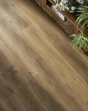 AMARON "GEORGETOWN OAK"