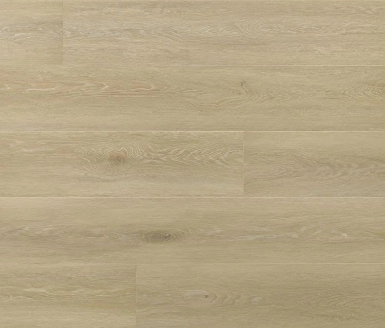 AMARON "JOHANNES OAK"