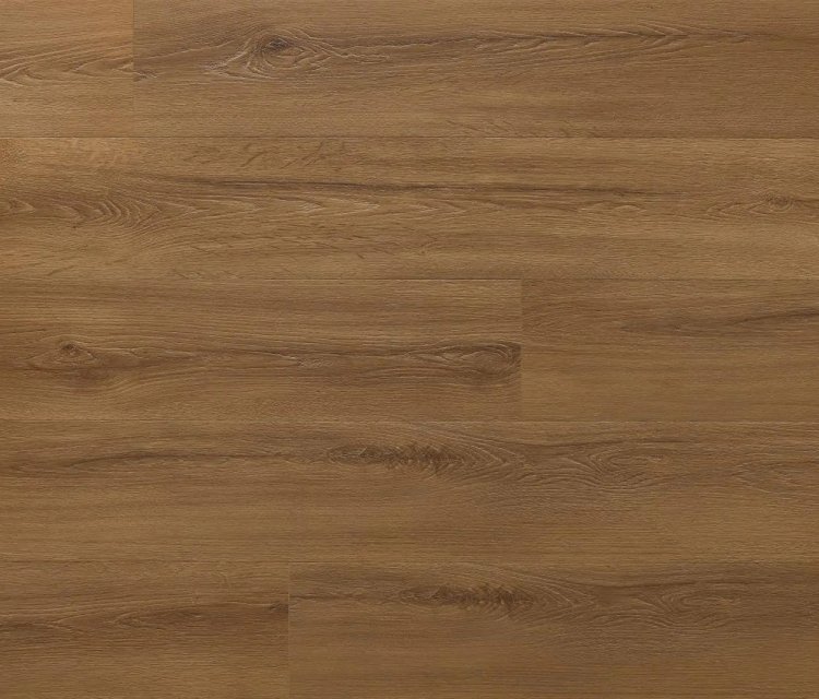 AMARON "ROCHESTER OAK"