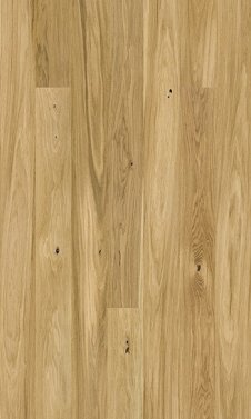 Ąžuolas ''Askania'' Grande