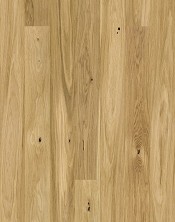 Ąžuolas ''Askania'' Grande