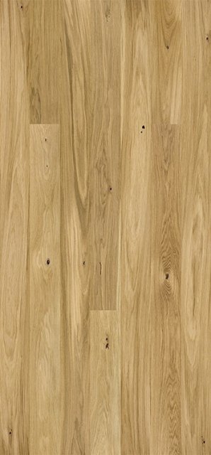 Ąžuolas ''Askania'' Grande