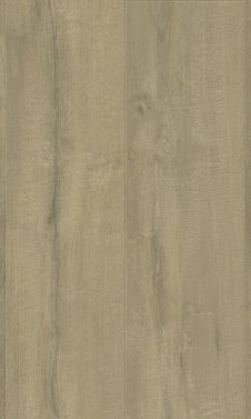 L0334-03870 BEACH TOWN OAK