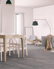 Authentic Plank "Sylvian"