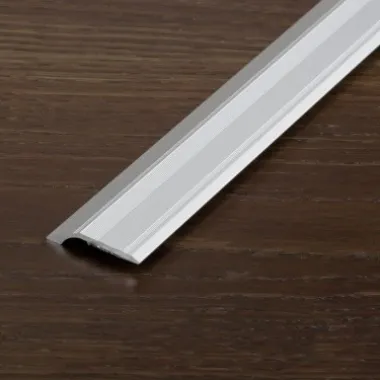 Sujungimo profilis Proline Profinish 53635, sidabrinis, 100 cm