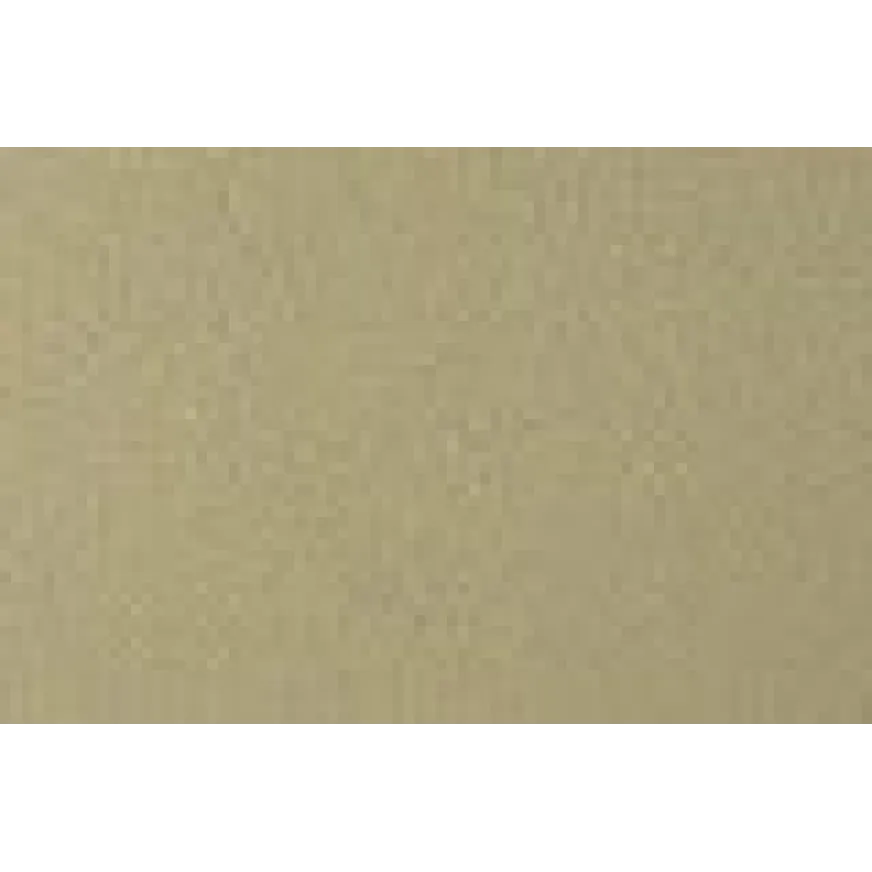 Sujungimo profilis Proline Profinish 53653, šampaninis, 270 cm