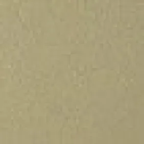 Sujungimo profilis Proline Profinish 53653, šampaninis, 270 cm