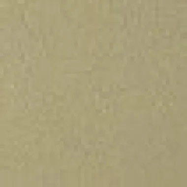 Sujungimo profilis Proline Profinish 53653, šampaninis, 270 cm