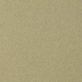 Sujungimo profilis Proline Profinish 53673, šampaninis, 270 cm