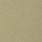 Laiptų profilis Proline Prostep 88630, šampaninis, 270 cm