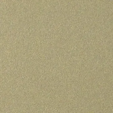 Laiptų profilis Proline Prostep 88783, šampaninis, 270 cm