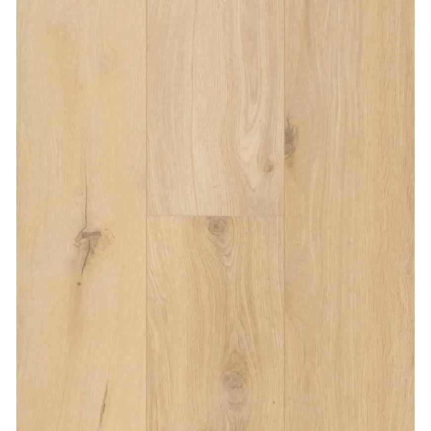 Laminuotos grindys BerryAlloc Ocean 8 XL 62002977 Gyant Sand Natural