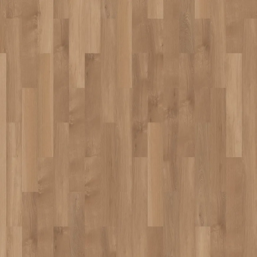 Rakinamos vinilinės grindys mFLOR Solcora+ 52-05 Broad Leaf 56272 Pure Sycamore
