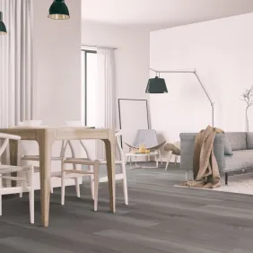 Klijuojamos vinilinės grindys mFLOR Broad Leaf 41828 Grey Sycamore